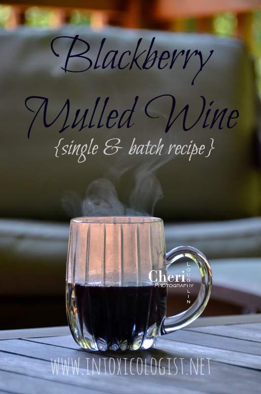 Blackberry Mulled Wine contains lush sweetness with lots of blackberry and baking spice notes. This is excellent for batch or single serve use.