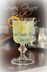Happy New Year! It's time for the annual Drinking Holidays 2016 calendar. Are you ready to start another year of holiday fun? I am! Every day is a drinking holiday opportunity. It’s all about putting a creative spin to the holiday in question.