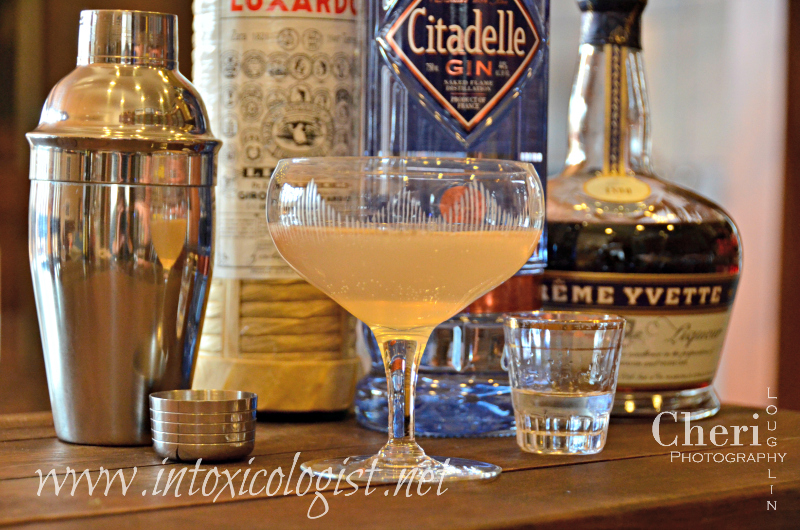 The Aviation Fizz was popularized in the 1920s. This classic cocktail is a variation of the Aviation cocktail. Both are 3 to 4 ingredient cocktails.
