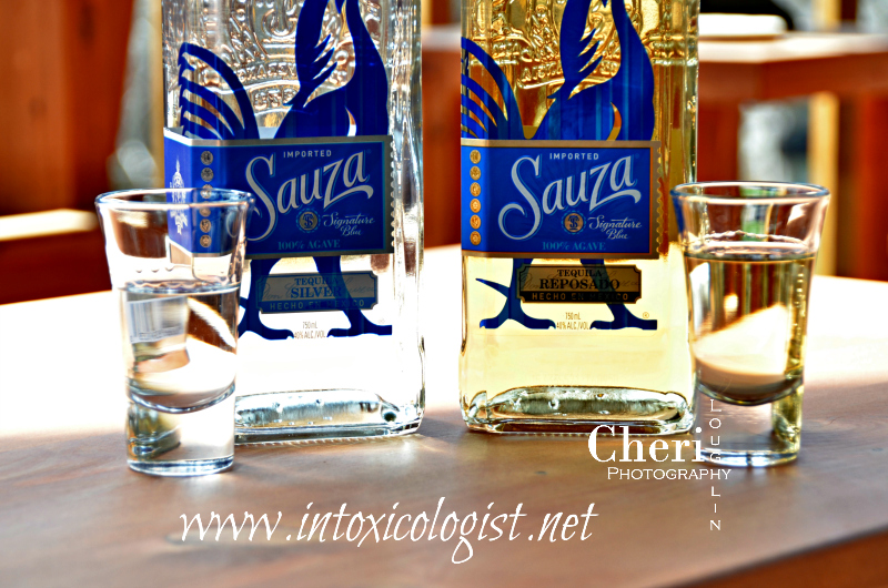 Skip the Margarita this Cinco de Mayo and shake up the Villa Fontana with Sauza Tequila and apricot brander. Sauza Silver and Reposado review included.