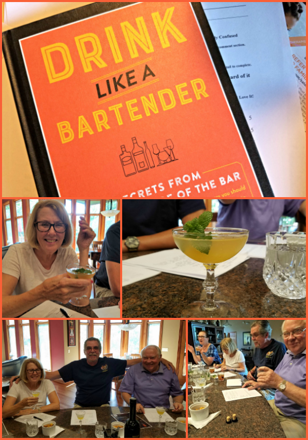 Drink Like A Bartender: Secrets from the Other Side of the Bar by Thea Engst and Lauren Vigdor - book review