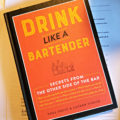 Drink Like A Bartender: Secrets from the Other Side of the Bar by Thea Engst and Lauren Vigdor - book review