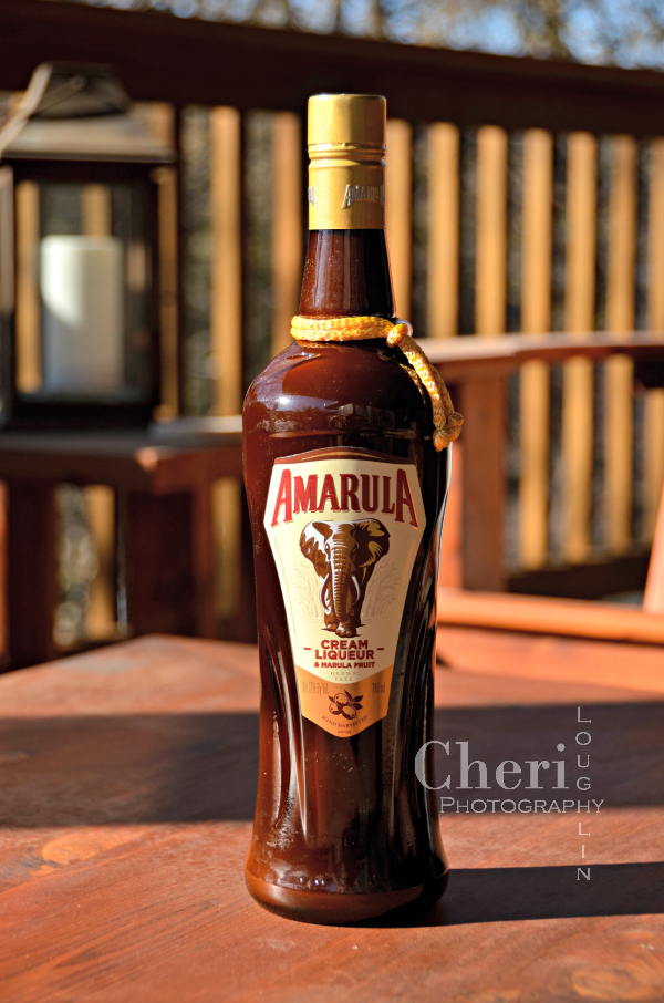 Amarula Liqueur's global campaign, "Don't Let Them Dissappear," is part of an ongoing partnership with WildlifeDirect to benefit African Elephants.